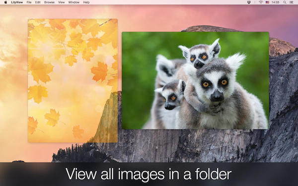 lilyview for mac